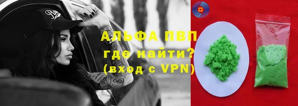индика Белокуриха