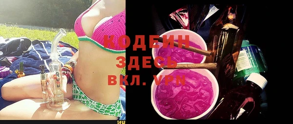 индика Белокуриха