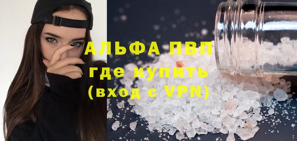 индика Белокуриха